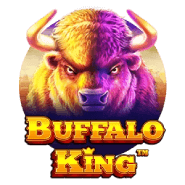 Buffalo_King